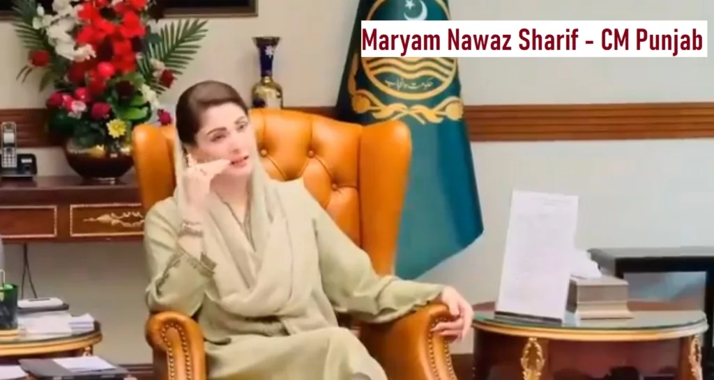 Maryam Nawaz Sharif Cheif Organizer PMLN Chief Minister Punjab