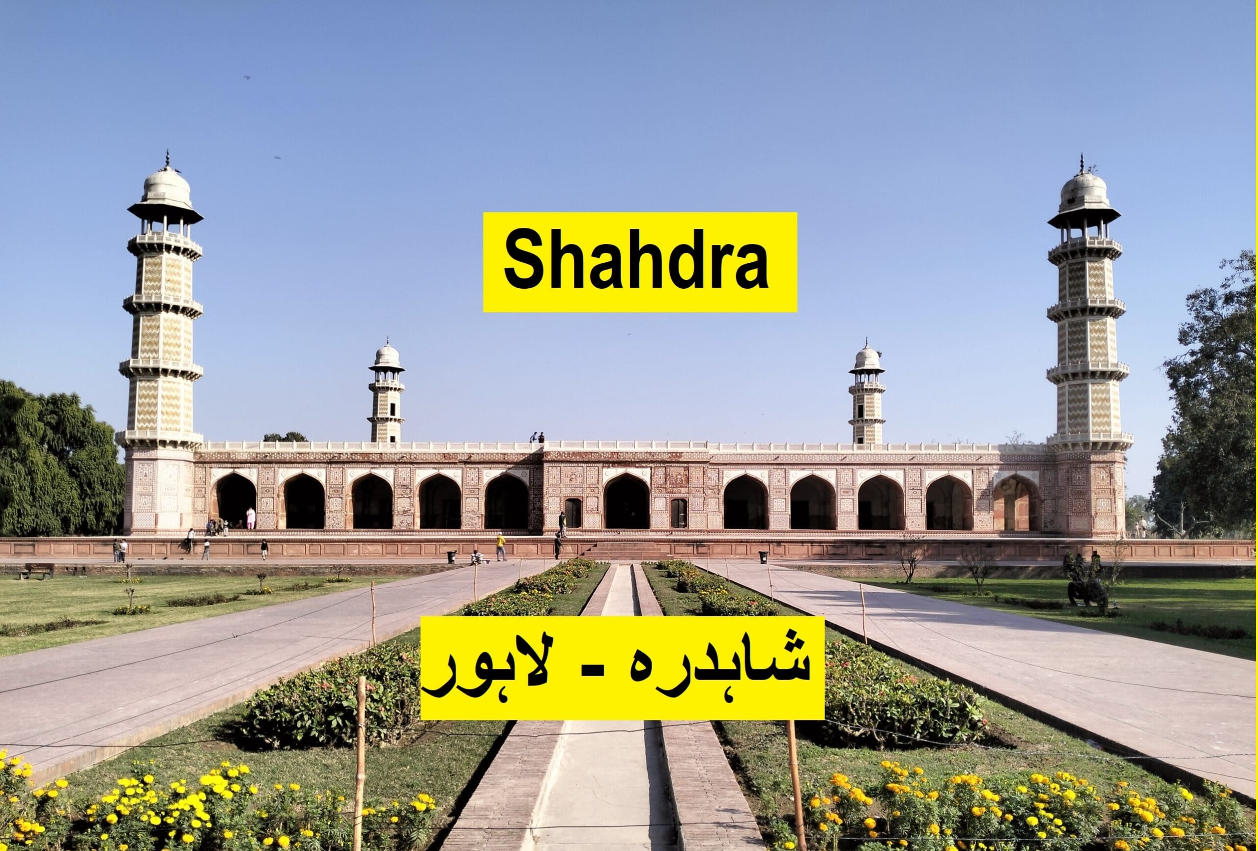 Shahdra